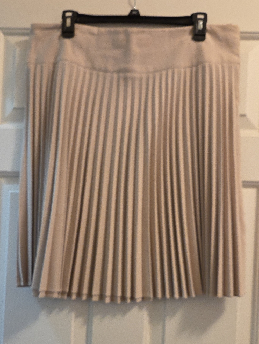 Beige Pleated Circle Skirt